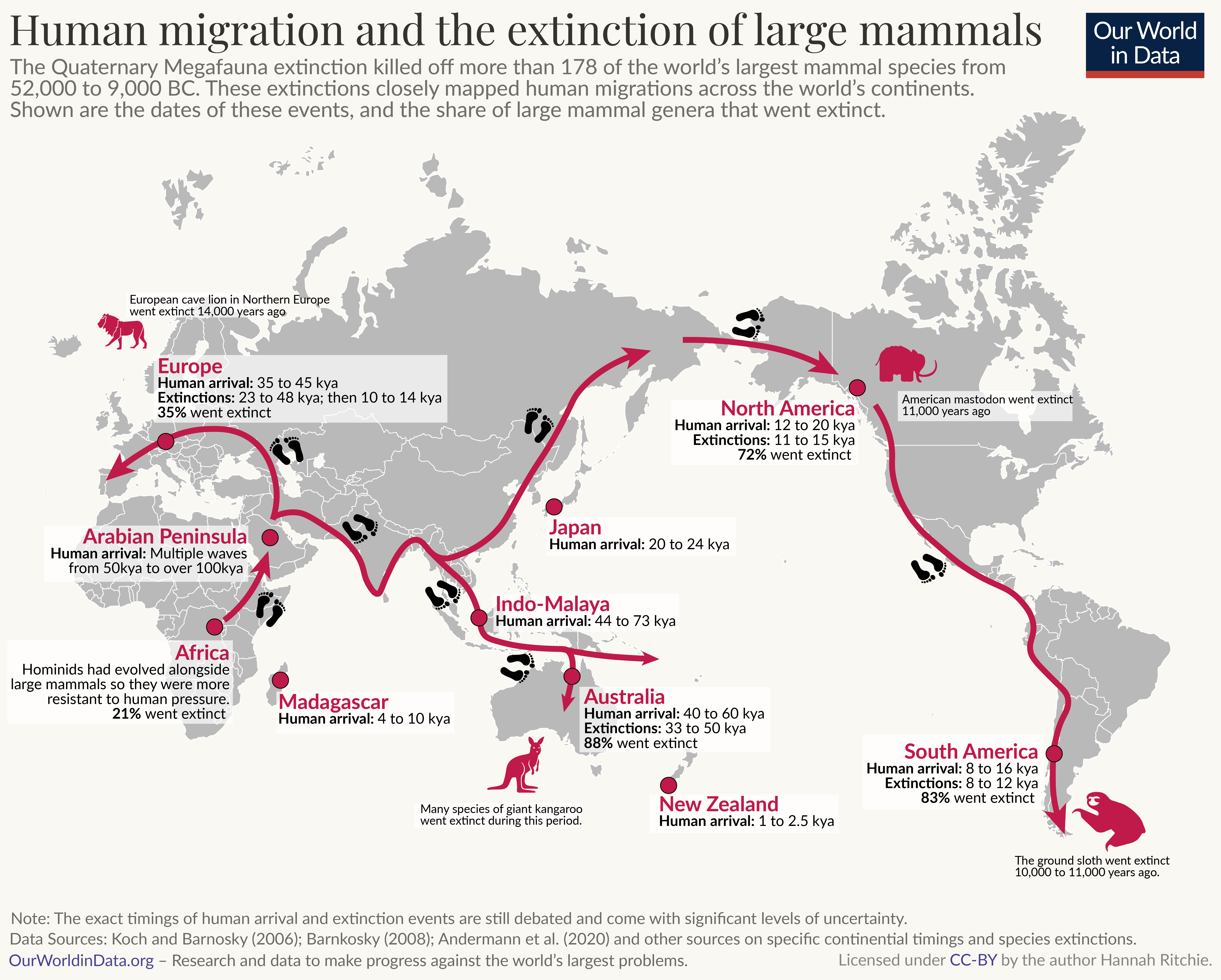 A world map illustrating human migration and the extinction of large mammals from 52,000 to 9,000 BC. Various regions are marked with key information regarding human arrival and extinction rates of large mammals. 

- Europe: Human arrival occurred 35,000 to 45,000 years ago, with 35% of large mammal species going extinct between 23,000 to 48,000 years ago.
- Arabian Peninsula: Multiple waves of human migration began 50,000 to over 100,000 years ago.
- Africa: Home to hominids that evolved alongside large mammals, with 21% extinction.
- Madagascar: Human arrival occurred 4,000 to 10,000 years ago.
- Indo-Malaya: Humans arrived 44,000 to 73,000 years ago.
- Japan: Human arrival happened 20,000 to 24,000 years ago.
- North America: Human migration occurred 12,000 to 20,000 years ago, with 72% of large mammal species going extinct.
- South America: Human arrival was between 8,000 to 16,000 years ago, with 83% extinction.
- Australia: Human presence began 40,000 to 60,000 years ago, leading to an 88% extinction rate.
- New Zealand: Humans arrived 1,000 to 2,500 years ago.

Data sources listed: Koch and Barnosky (2006), Barnosky (2008), Andermann et al. (2020)