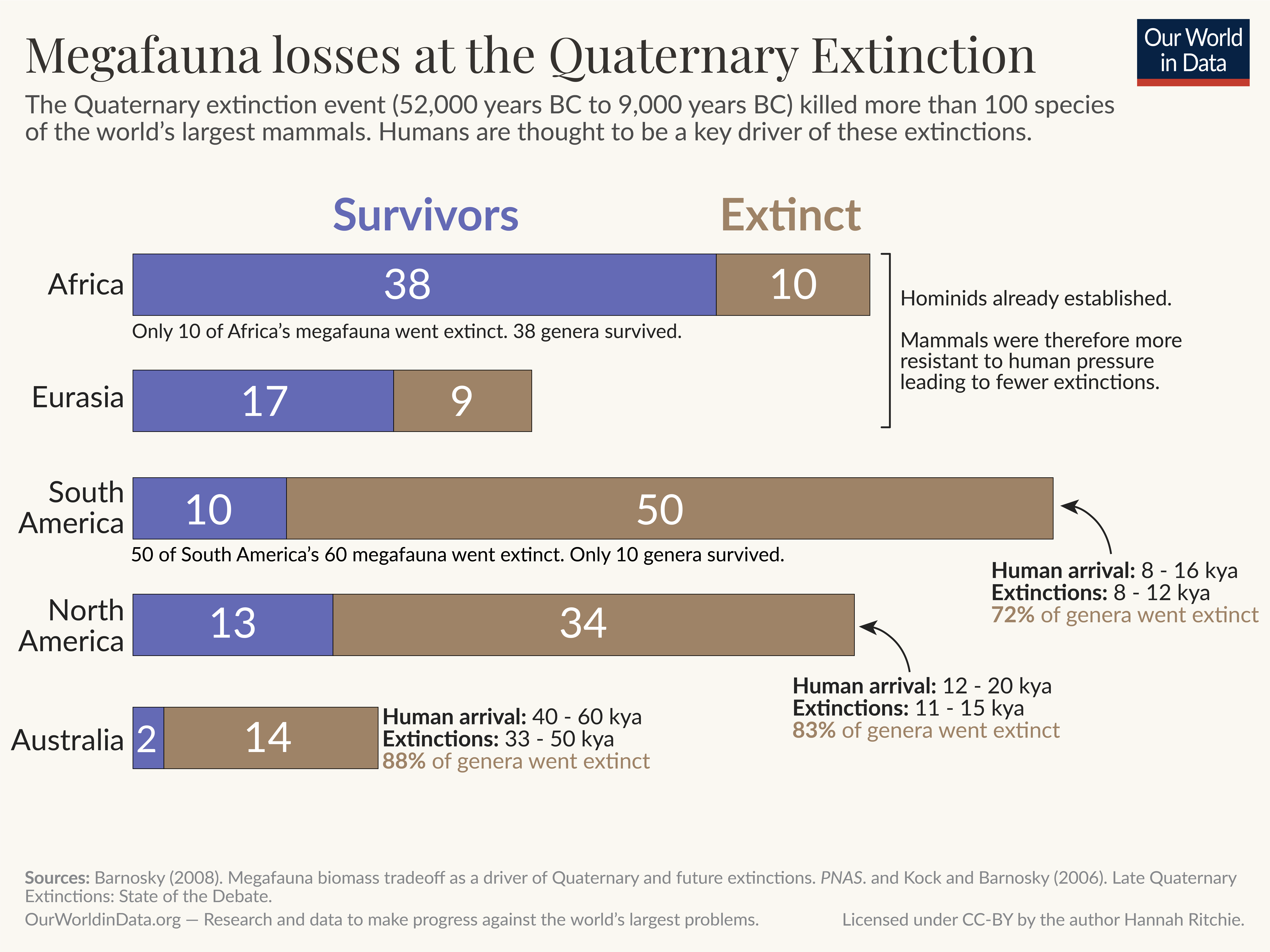 The image is a data visualization detailing the megafauna losses during the Quaternary extinction event, which occurred between 52,000 years and 9,000 years ago. The title at the top states "Megafauna losses at the Quaternary Extinction" and explains that this event resulted in the extinction of over 100 species of large mammals, with humans thought to be a significant factor. 

The chart uses blue bars to represent the number of megafauna survivors and red bars to show the extinct species across different regions:

- Africa: 38 survivors, 10 extinct.
- Eurasia: 17 survivors, 9 extinct.
- South America: 10 survivors from 60, and 50 extinct.
- North America: 13 survivors, 34 extinct.
- Australia: 2 survivors, 14 extinct.

Each section includes additional context about human arrival and extinctions in that region. For instance, in Australia, it notes that 88% of genera went extinct. 

The footer provides sources for the data: Barnosky (2008), PNAS, and Kock and Barnosky (2006), along with the statement "Our World in Data" which indicates the research context. The image is licensed under CC-BY by the author Hannah Ritchie.