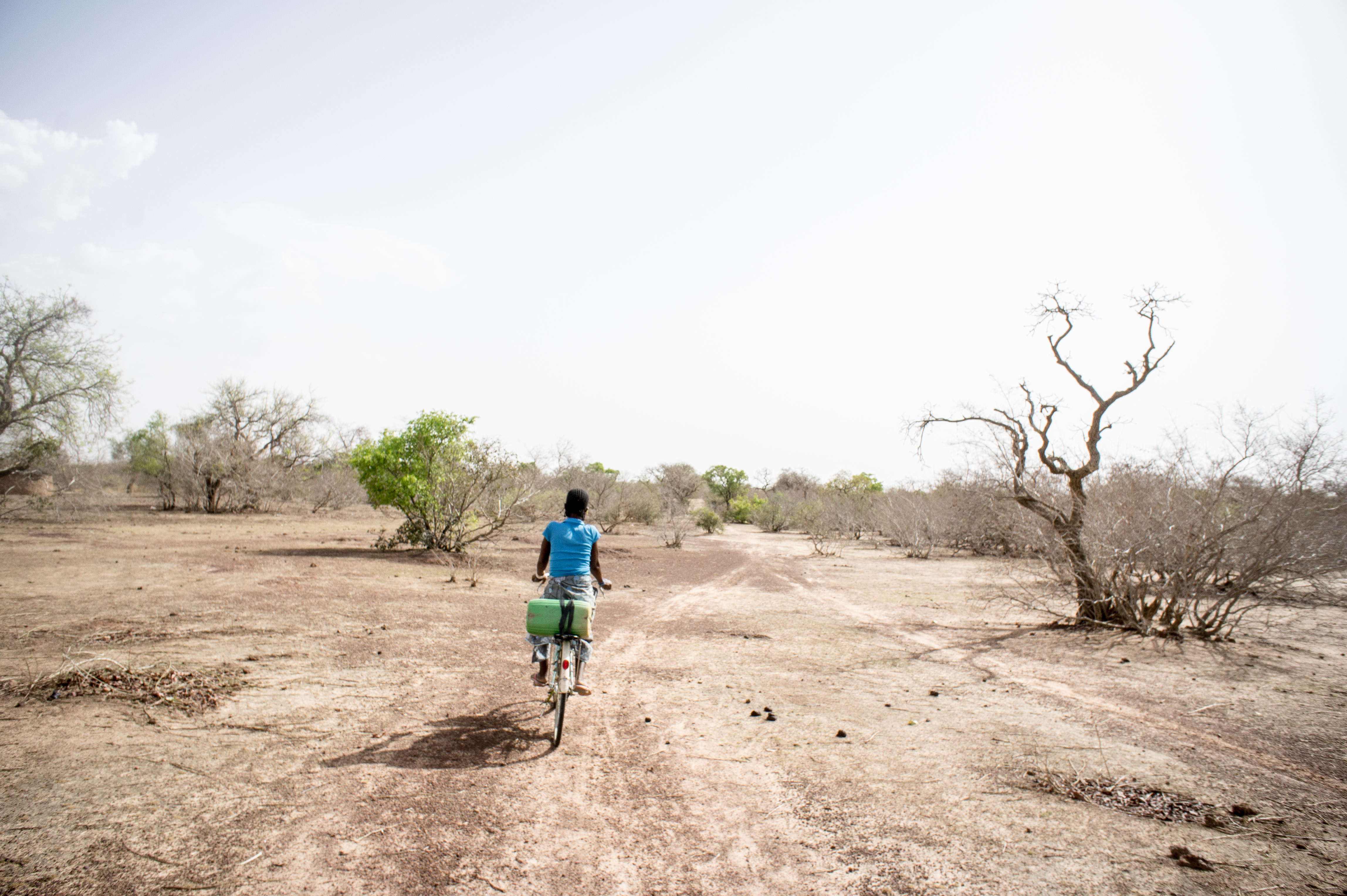 A person is riding a bicycle along a dirt path in a rural landscape. The cyclist, dressed in a blue shirt and light-colored shorts, is viewed from behind. Surrounding the path are sparse, dry trees, most of which have lost their leaves, while a few green bushes stand out amidst the barren landscape. The sky is bright and mostly clear, with a hint of clouds, indicating a warm and sunny day. The ground is uneven and dusty, characteristic of a dry environment.
